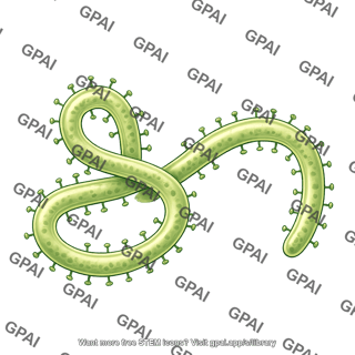 Ebola