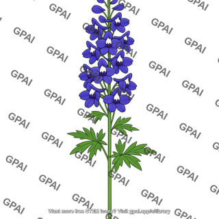 Delphinium flower