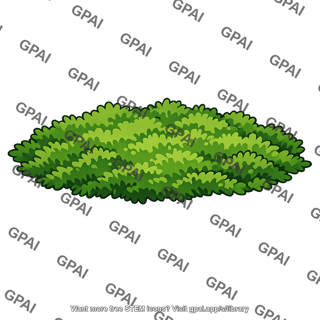 Vegetation patch