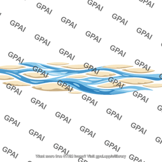 Braided river