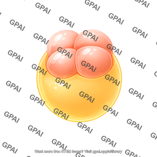 Zebrafish embryo 03a. 4 cell stage