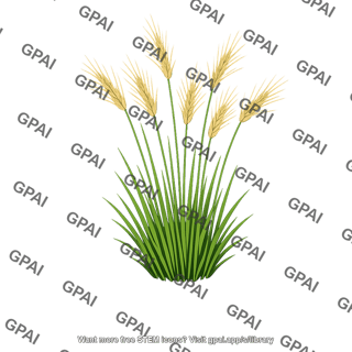 Needle grass