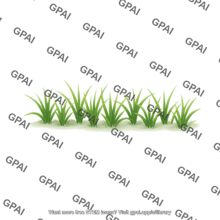 Grass field