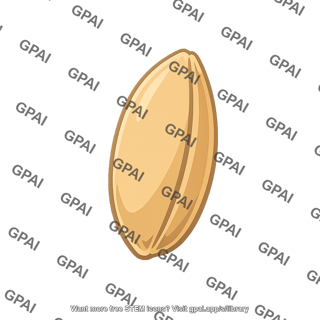 Cereal grain
