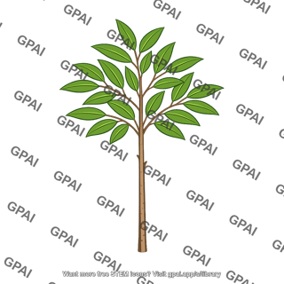 Small tree sapling