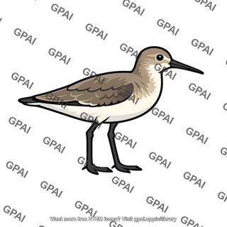 Shorebird