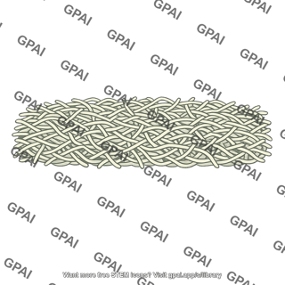 Fungal hyphae upper layer