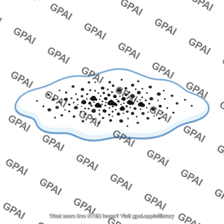 Black carbon on snow