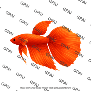 Siamese fighting fish veiltail betta
