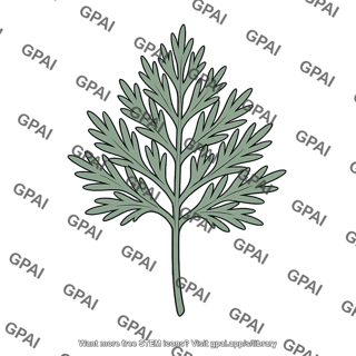 Desert plant leaf finely divided