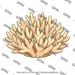 Branching coral
