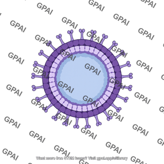 Rotavirus base