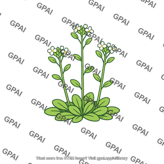 Flowering plant