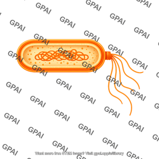 Bacillus gram positive cross section with flagella