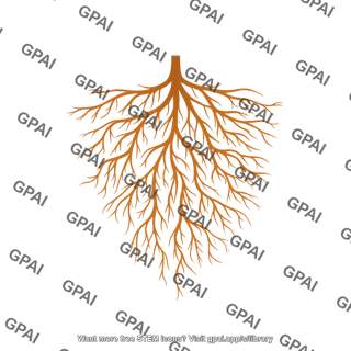 Roots fibrous 2