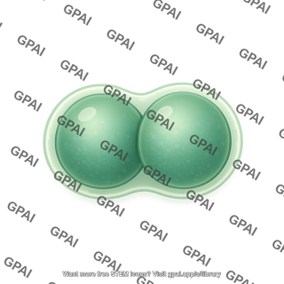 Diplococcus