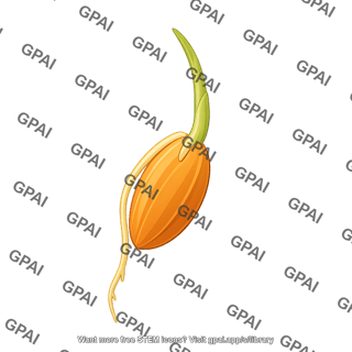 Rice germinating seed 1