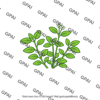 Annual herb