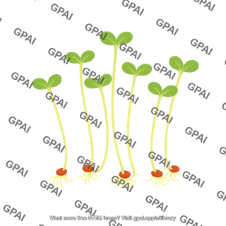 Broccoli sprout 1
