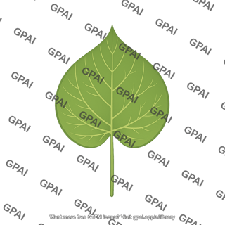 Leaf cordate