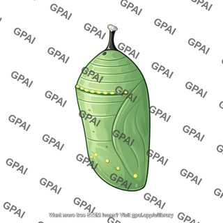 Monarch chrysalis danaus plexippus