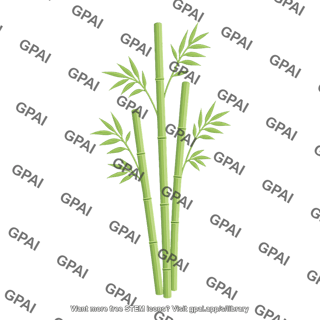 Bamboo