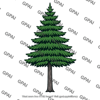 Fir