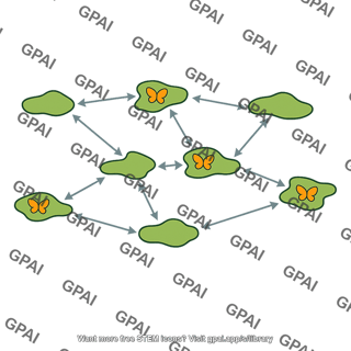 Metapopulation habitat patch network