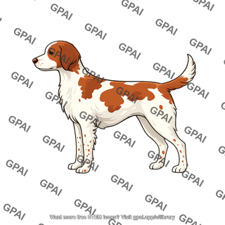 Dog brittany