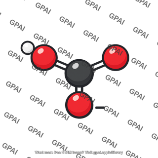 Bicarbonate ion