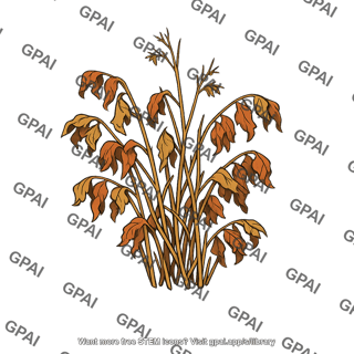 Dry vegetation brown