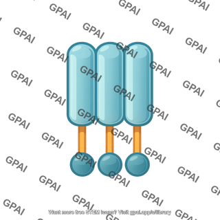 Influenza m2 proton channel