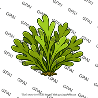 Alga