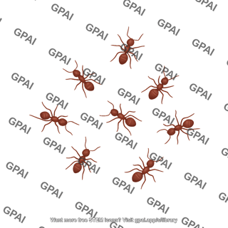 Ants