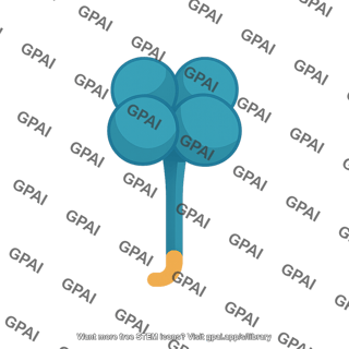 Influenza  neuraminidase na