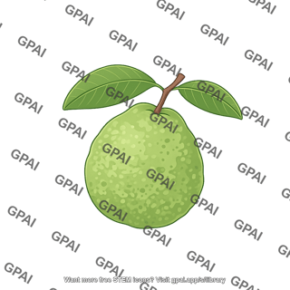 Guava