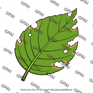 Plant leaf damaged