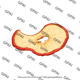 Apple dried slice