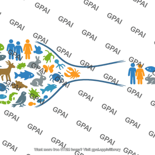 Population bottleneck