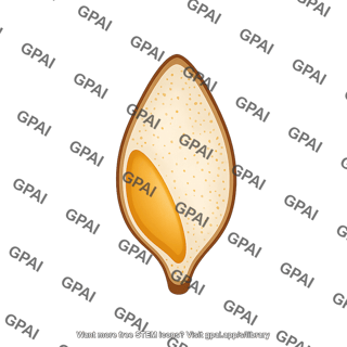 Grain kernel