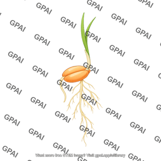 Wheat seedling 1