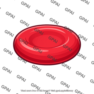 Red blood cell