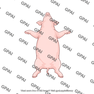 Pig supine