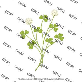 Subterranean clover sprig