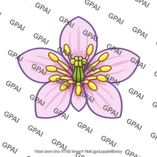 Pink flower