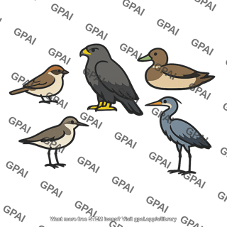 Bird species group