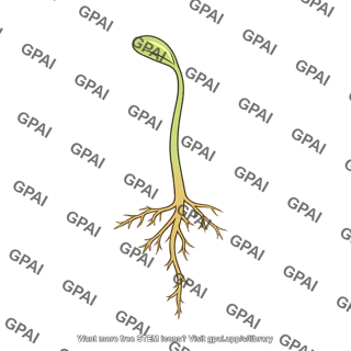 Soybean seedling ve 1