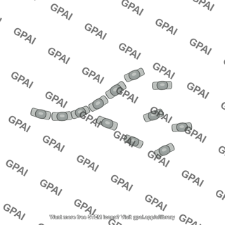 Coccidioides arthroconidia disarticulation