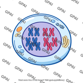 Diploid cell