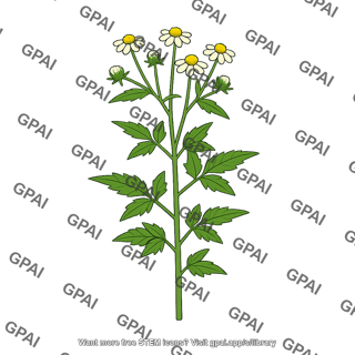 Bidens
